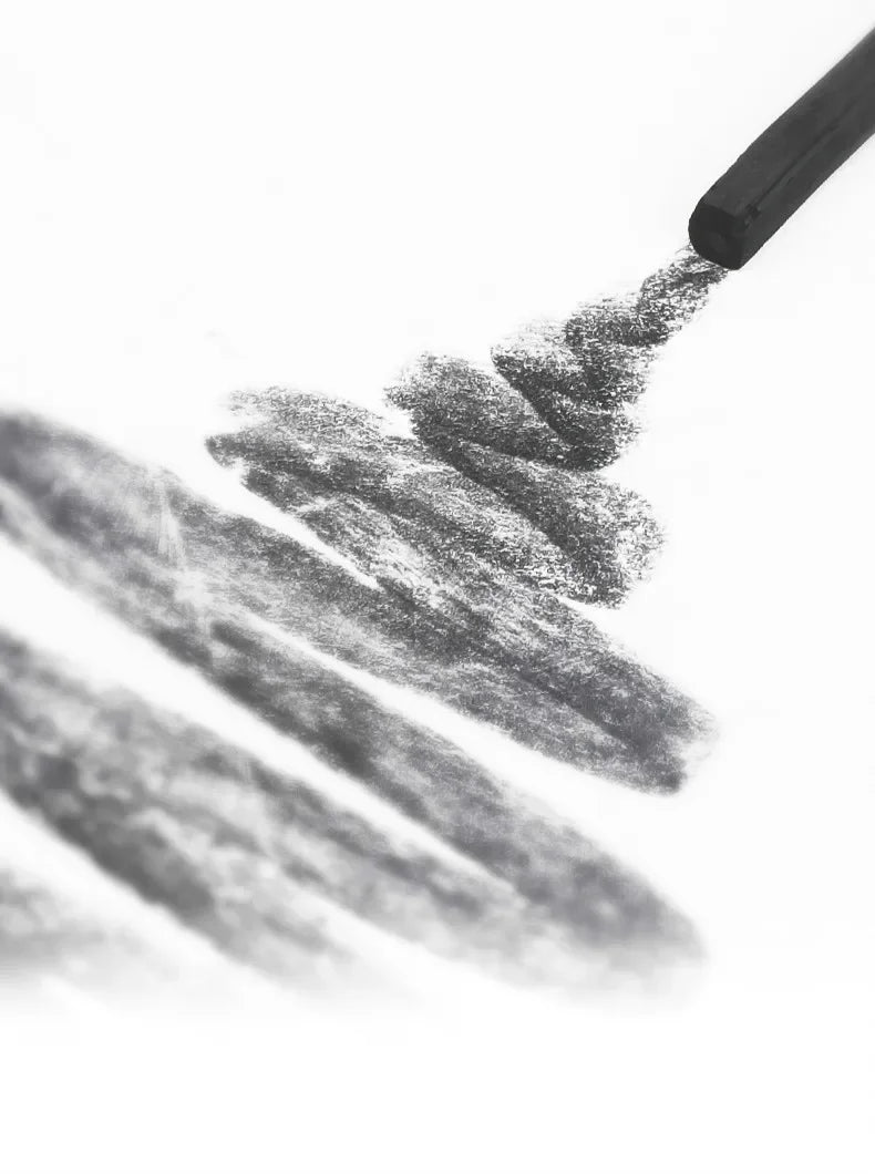 Charcoal Pencil Art Drawing Painting Sketch Charcoal Pencils Carboncillos Para Dibujo Lapices Dibujo Profesional Art Supplies
