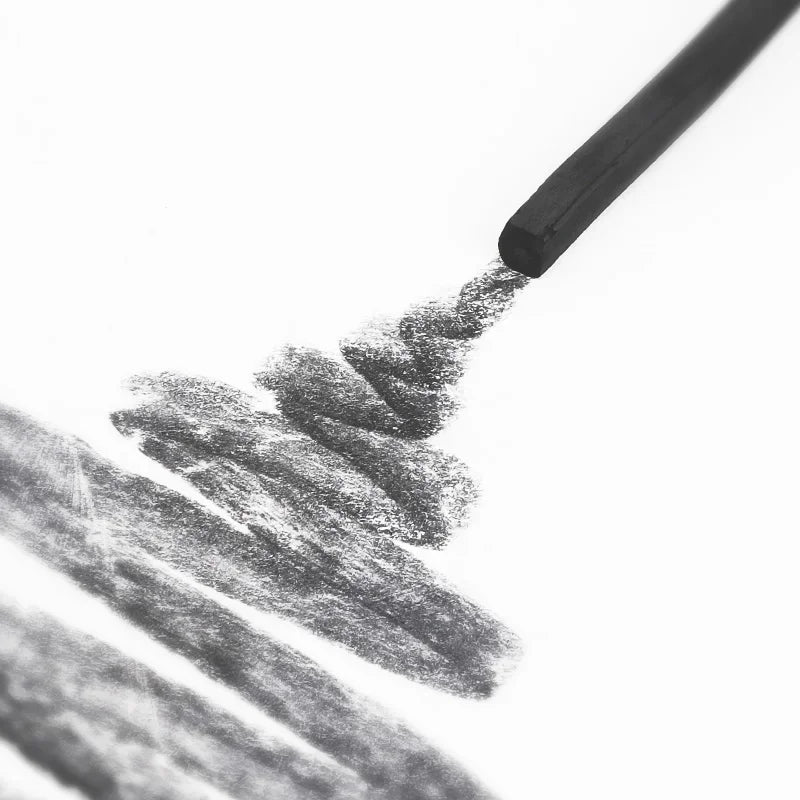 Charcoal Pencil Art Drawing Painting Sketch Charcoal Pencils Carboncillos Para Dibujo Lapices Dibujo Profesional Art Supplies