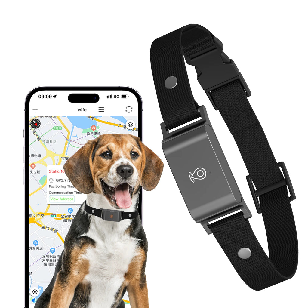 Gps Tracker Pet Gps Location Tracker Remotely trackable collar IP67 Waterproof Collar