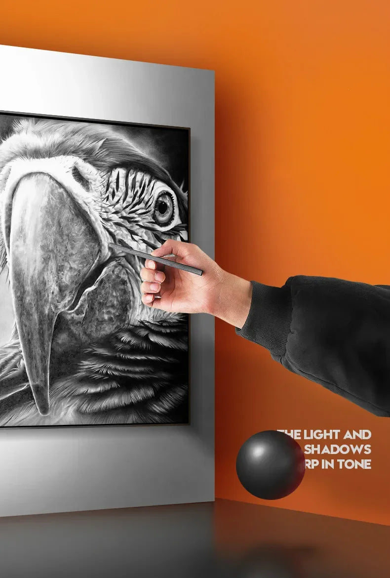 Charcoal Pencil Art Drawing Painting Sketch Charcoal Pencils Carboncillos Para Dibujo Lapices Dibujo Profesional Art Supplies