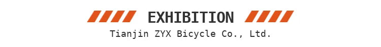 Adult Ebike 19 Light Electric Mountain Bike Electric Bike 6000w 40ah Road Legal Dirt with Pedals