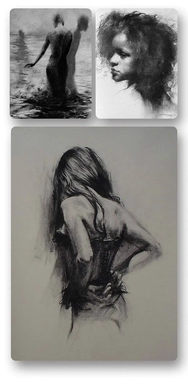 Charcoal Pencil Art Drawing Painting Sketch Charcoal Pencils Carboncillos Para Dibujo Lapices Dibujo Profesional Art Supplies