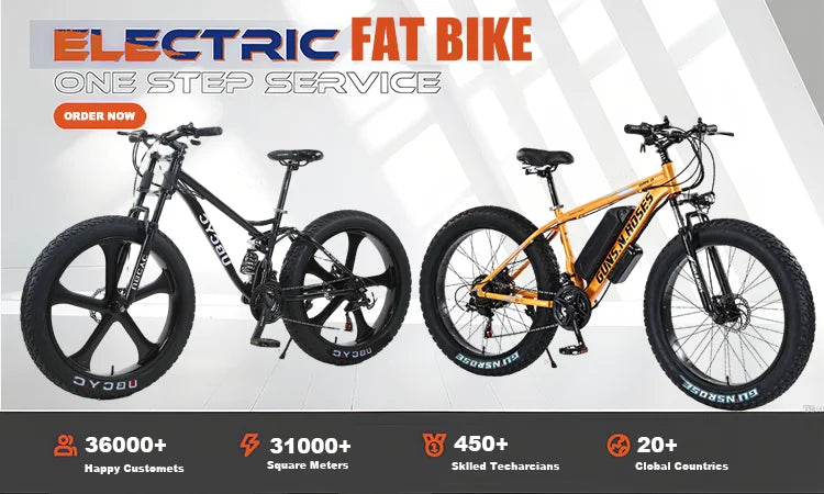 Adult Ebike 19 Light Electric Mountain Bike Electric Bike 6000w 40ah Road Legal Dirt with Pedals