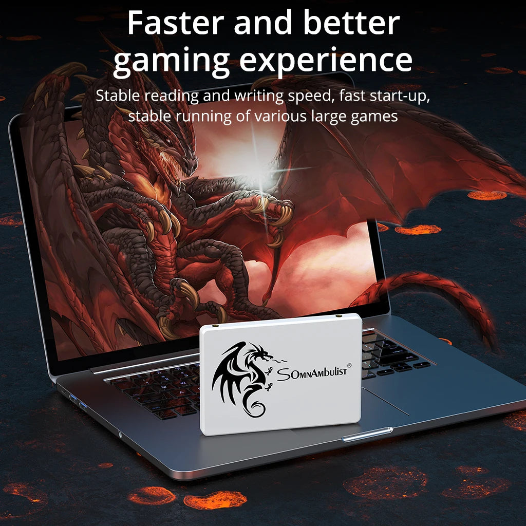 SomnAmbulist SSD 2.5 64GB 128GB 256GB 512GB for Laptop Desktop Solid State Drive Sata3 120GB 240GB 480GB