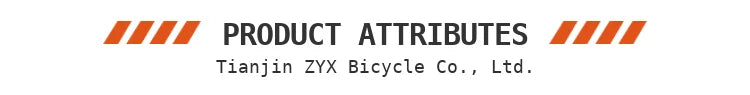 Adult Ebike 19 Light Electric Mountain Bike Electric Bike 6000w 40ah Road Legal Dirt with Pedals