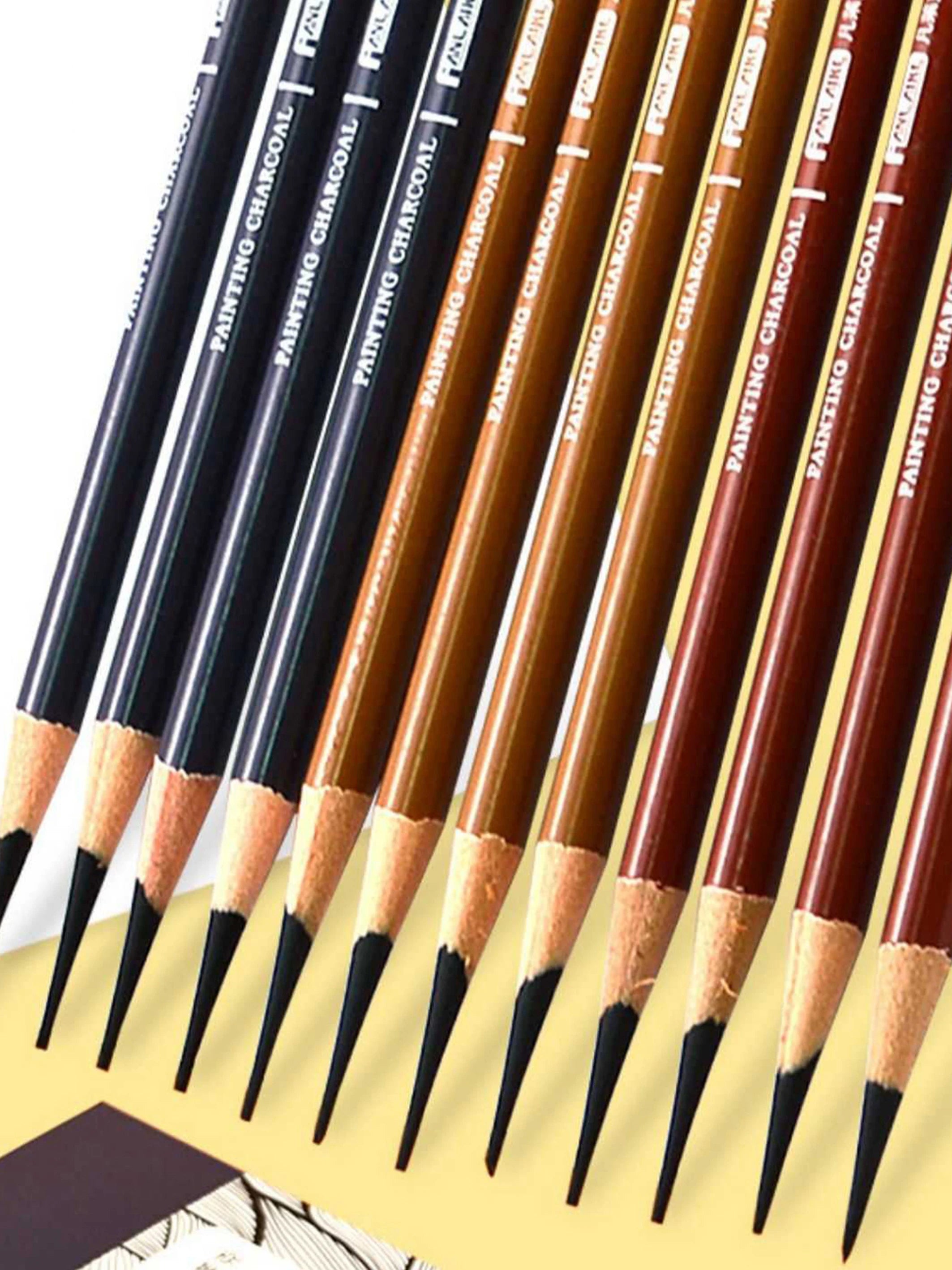 Professional Charcoal Pencils Drawing Set 10 Pieces Soft, Medium & Hard Charcoal Pencils for Drawing, Sketching, Shading