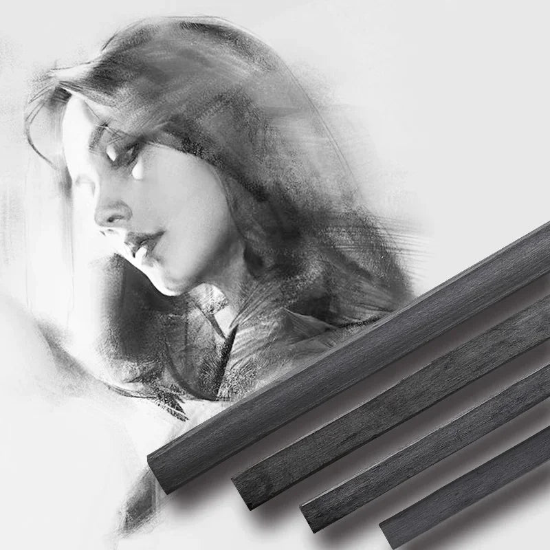 Charcoal Pencil Art Drawing Painting Sketch Charcoal Pencils Carboncillos Para Dibujo Lapices Dibujo Profesional Art Supplies