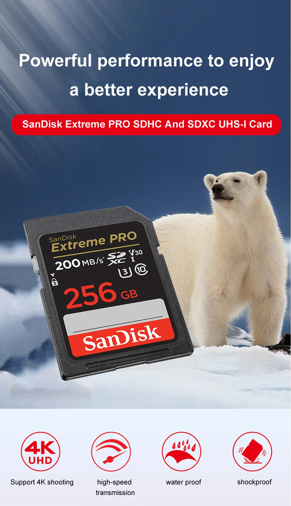 SanDisk Full-Size SD Card 32GB SDHC C10 64GB 128GB 256GB SDXC Card 512GB cartao de memoria carte sd tarjeta For HD video Camera