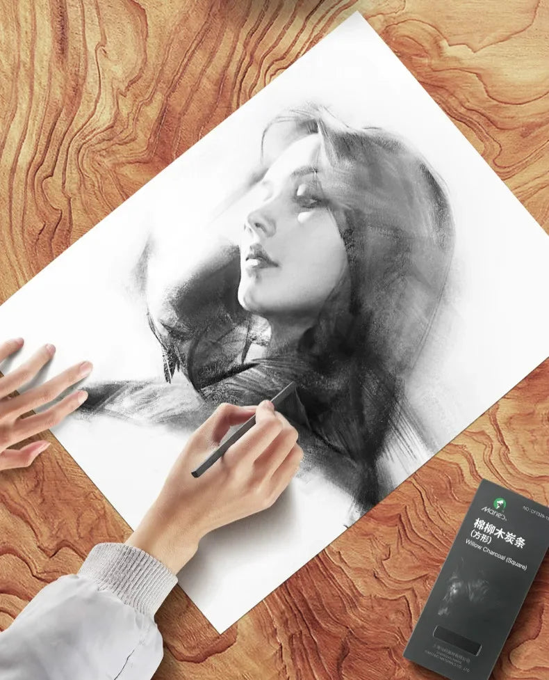 Charcoal Pencil Art Drawing Painting Sketch Charcoal Pencils Carboncillos Para Dibujo Lapices Dibujo Profesional Art Supplies